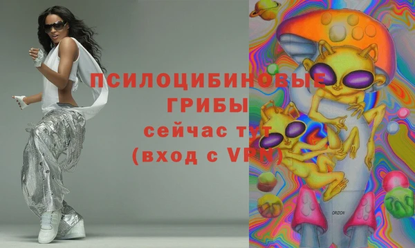 тгк Карталы